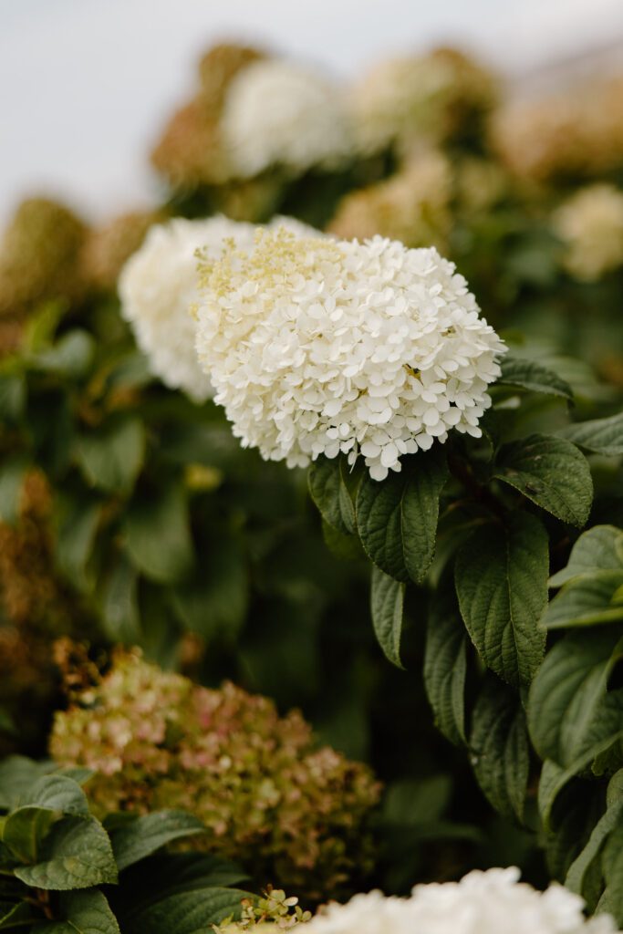 Rustic Fall Wedding at Vanderwende Acres // The Shaffers