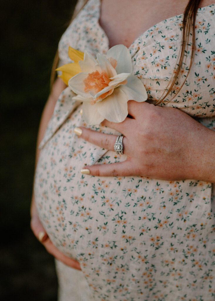 golden hour spring maternity photos in maryland