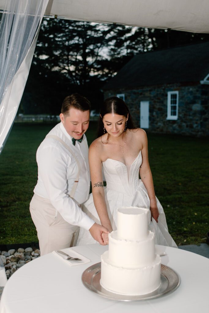 bride and groom cutting the wedding cake